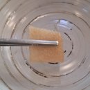 풍경이있는집 | 오리·닭 백숙도 푸짐히 먹고 자연 풍경도 볼 수 있는 청송 백숙집 <풍경> 후기