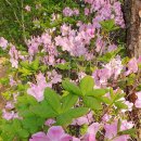 수암저수지 이미지