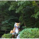 호수에 담다 이미지