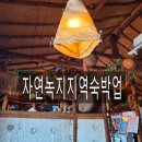 자연녹지지역, 일반주거지역, 준공업지역 관광숙박업 건축 절차 및 관광진흥개발기금 활용 방안