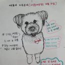 뽀순이