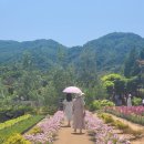 진선카센타 | 고성/속초여행) 고성 가볼 만한 곳! 분명히 완벽한 계획이었는데.. 어쩌다 보니 좌충우돌 1박2일 세...