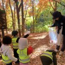 오금숲어린이집 이미지