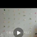 꽃비플라워 이미지