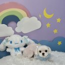 순댕이샵 이미지