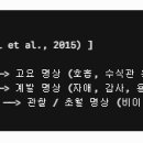 3개 분류 이미지
