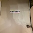 오렌지피자 | 서울 평창동 구기동 맛집 오렌지나무 피자 파스타 후기