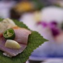 완도회타운 이미지