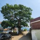 이동면 화계 이미지