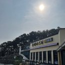 싱그러운청도로(봄) 이미지