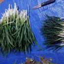 가좌농장 이미지