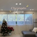 스테이더문 | 사계절 자쿠지 무료 대구 근교 애견동반 펜션 추천 | 청도 스테이더문