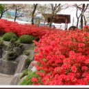 조선대학교병원 이미지