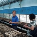 김동일농장 이미지