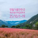 11620-19-10-1 | 영월가볼만한곳 제6회 동강붉은메밀꽃축제(10/1~19,영월홍메밀축제) 후기