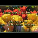 최고의 인생 이미지