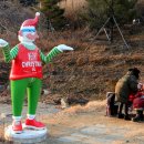 * 봉화 낙동강협곡(분천역~승부역) 트래킹 & 분천역 산타축제(2) 이미지