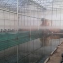 산내들낚시터 이미지