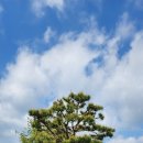 수산나요양원