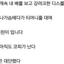 가슴 작은 누나의 폭력성 이미지