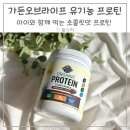 (주)한국유기농 | 간식처럼 챙기는 어린이 단백질 추천 가든오브라이프 유기농 프로틴 초콜릿맛