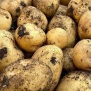 호관농장 이미지