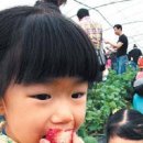 산야초체험관민박 이미지