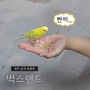 벅스패밀리 | [광주나들이]패밀리랜드 실내동물원 벅스랜드 아기랑 체험 후기
