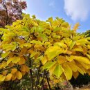 세종행정사사무소 이미지