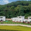 펫티움애견펜션 이미지