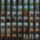 우리의 봄날 | [후기] 제주 웨딩 스냅 후기 (우리의봄날 | 뮤토 | 고원제주 | 찐투어)