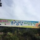 나무네농장 이미지