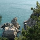 양지상사 이미지