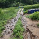 하누리 농장 이미지