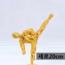 한국체대 초월 태권도장 이미지