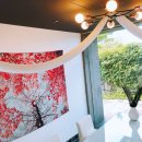 카페호와 이미지