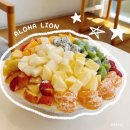광주 빙수 맛집 용산동 알로하 라이언카페 과일빙수 내돈내산후기