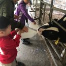 준우목장 이미지