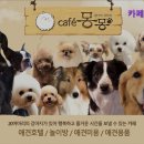 카페 몽몽 | [김포 호텔/가격/후기] 카페몽몽 김포 애견카페 카페몽몽, 애견과 함께하는 즐거운 공간