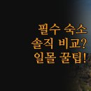 항구모텔 | 노바스코샤 페기스 코브 숙소 솔직 후기 | 라이트하우스 클리프티 모텔 시설 비교 분석 | 일몰 명당...