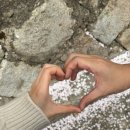 주례초등학교 이미지