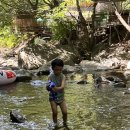 맑은물펜션민박 이미지