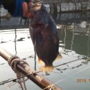 CU(대산삼길포점) 이미지