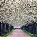 화성센트럴파크 도서관 이미지