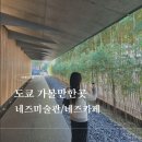 도쿄 오모테산도 네즈 미술관 예약방법 네즈카페 후기