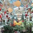 카페포레스트 | 인천 송도 대형카페 포레스트아웃팅스 다녀온 후기