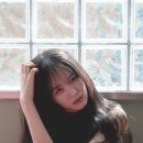 백서라 카카오 검색결과