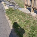 꽃비민박 이미지