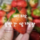 김영자농장 이미지