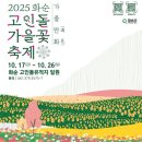고인돌유적지제4쉼터(핑매바위) | 2025 화순 고인돌 가을꽃 축제 10.17-10.26 화순고인돌유적지